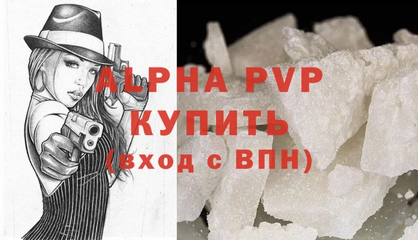 стаф Богородицк