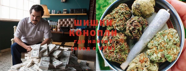 стаф Богородицк