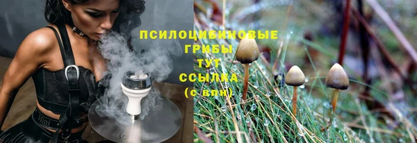 кокаин Богданович