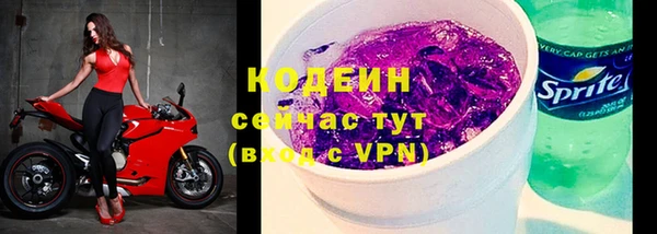 стаф Богородицк